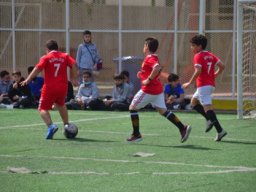 MIS Sports